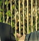 Filename=069.jpg
Filesize=57KiB
Dimensions=854x348
Date added=May 25, 2025 069.jpg