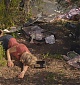 Filename=0002.jpg
Filesize=404KiB
Dimensions=1920x1080
Date added=Aug 31, 2025 0002.jpg