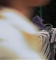 Filename=026.jpg
Filesize=50KiB
Dimensions=720x540
Date added=Dec 03, 2021 026.jpg