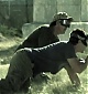 Filename=138.jpg
Filesize=73KiB
Dimensions=720x540
Date added=Jan 12, 2022 138.jpg